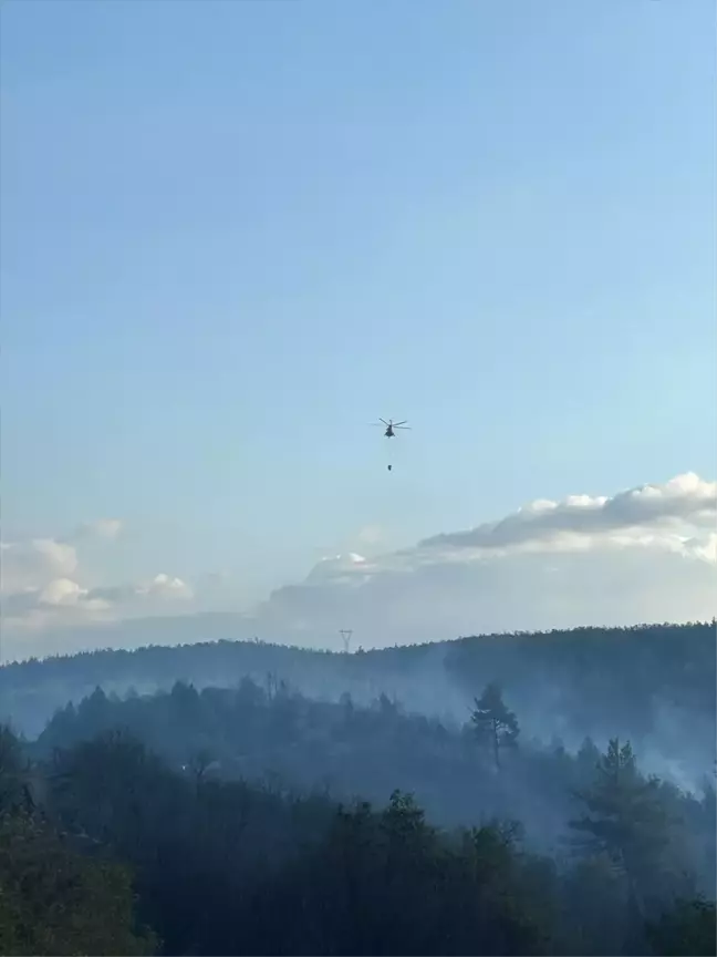 Bursa ve Balıkesir'deki Orman Yangını Söndürüldü