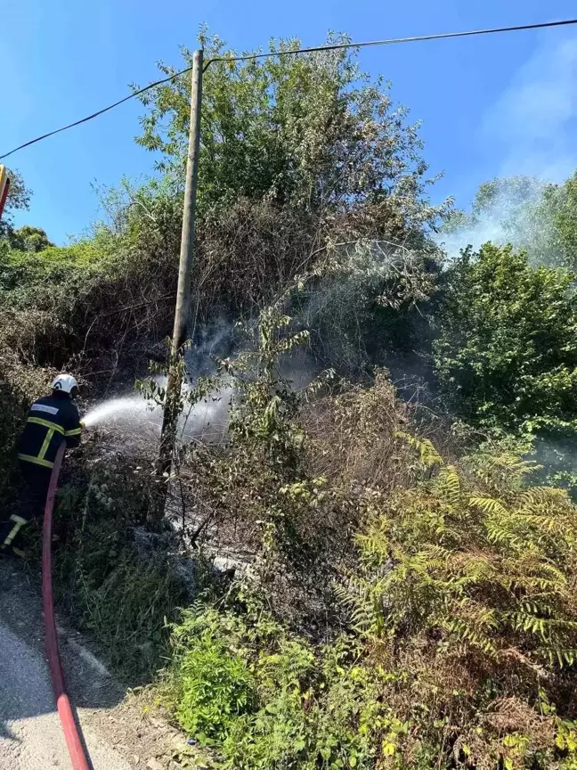 Zonguldak'ta Anız Yangını Kontrol Altına Alındı