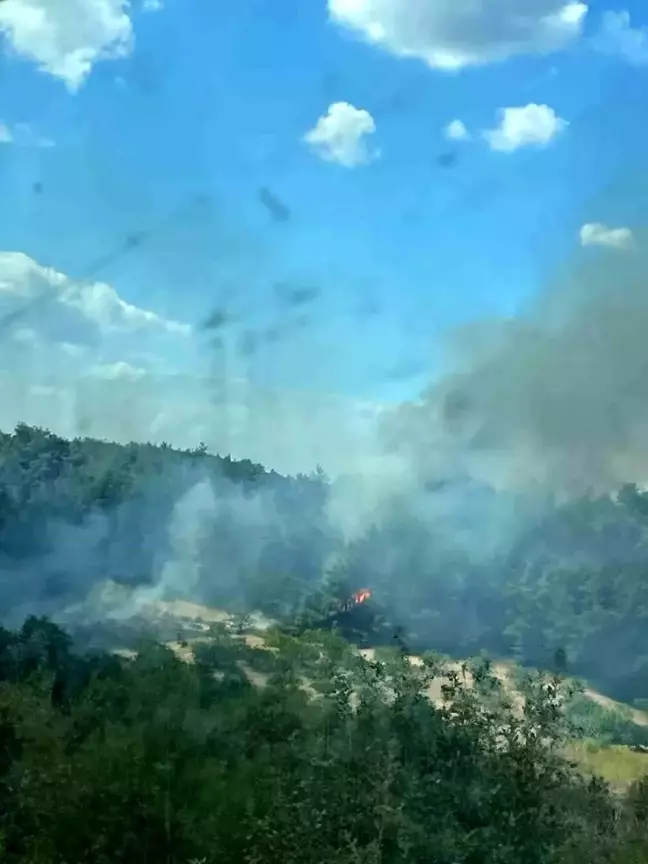 Bursa'da Orman Yangınına Hava ve Karadan Müdahale