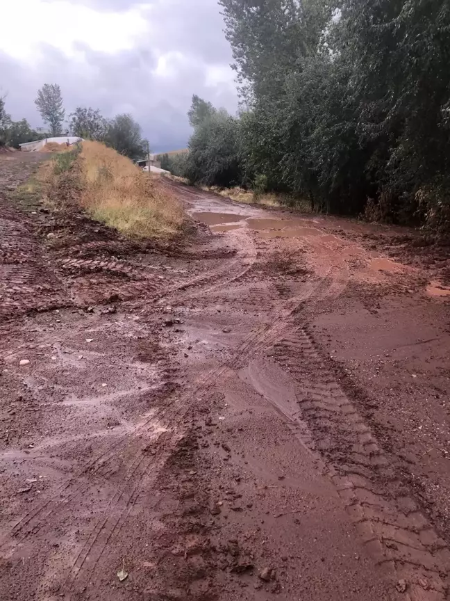 Bitlis Ahlat'ta Sağanak Sele Neden Oldu