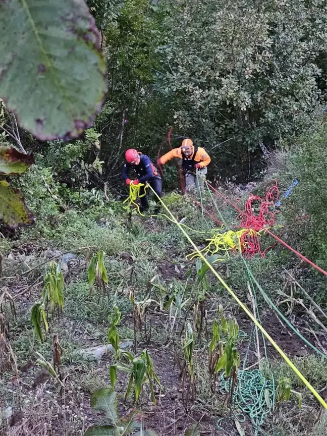 Artvin'de Uçurumdan Düşen Otomobilde 1 Kişi Hayatını Kaybetti