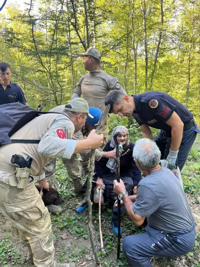 Ayaçık'ta Kaybolan İşitme Engelli Kadın Ormanda Bulundu