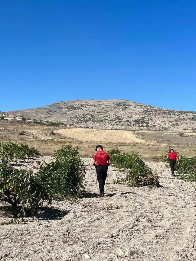 Kayseri'de Kaybolan Koyun ve Kuzular JAK Ekipleri Tarafından Bulundu