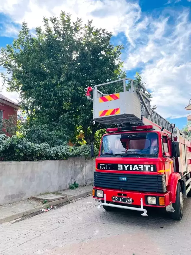 Bingöl'de Ceviz Silkelemek İçin Ağaca Çıkan Kişi Mahsur Kaldı