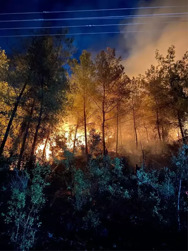 Muğla'da Orman Yangınlarına Müdahale Başladı