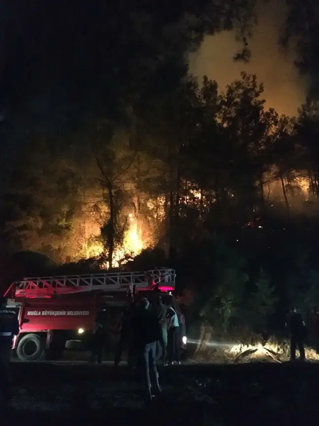 Muğla'da Orman Yangını Başladı