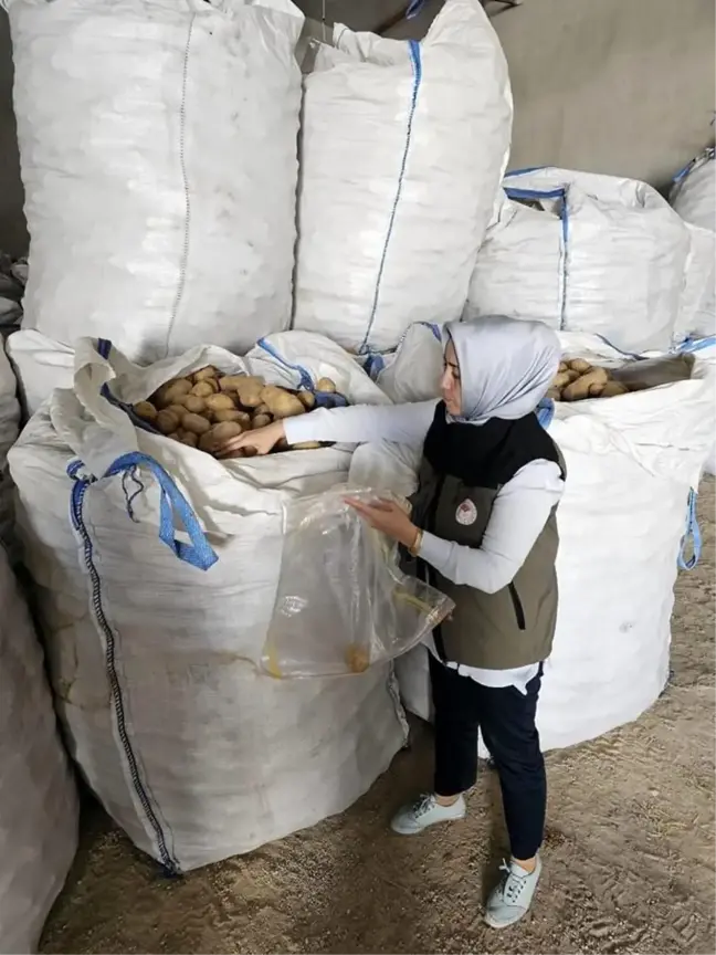 Afyonkarahisar'dan Tunus'a 132 Ton Patates İhracatı