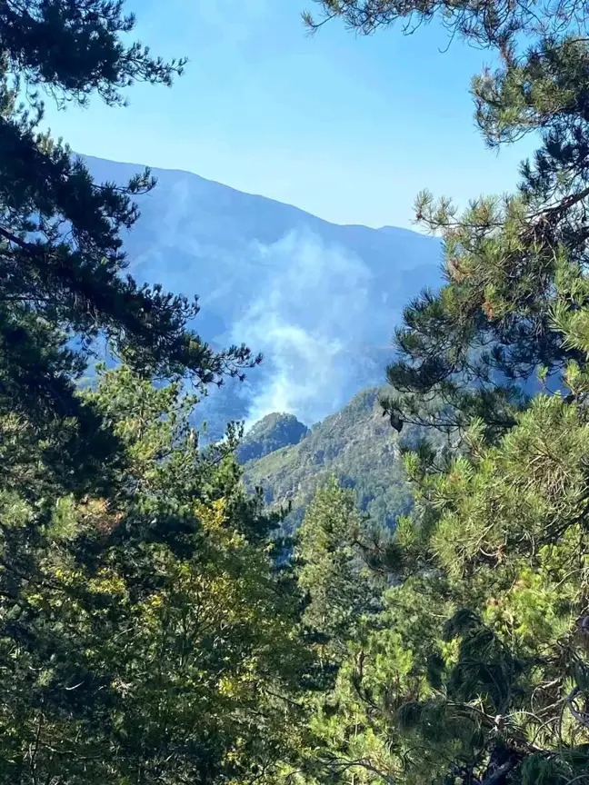 Hatay'da Orman Yangınına Hava ve Kara Müdahalesi