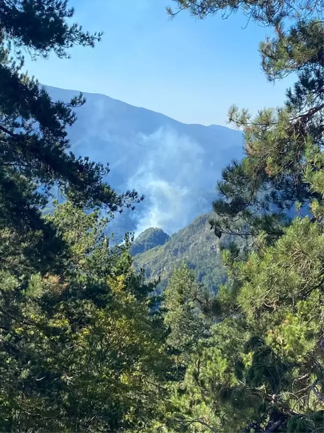 Hatay'da Orman Yangınına Havadan ve Karadan Müdahale Ediliyor