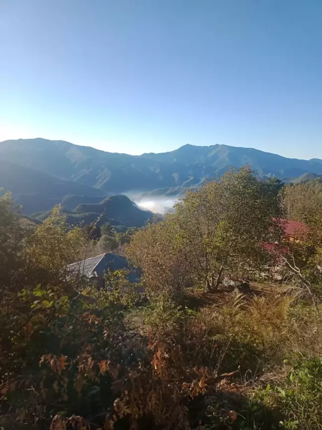 Hatay'da Orman Yangınına Müdahale Devam Ediyor