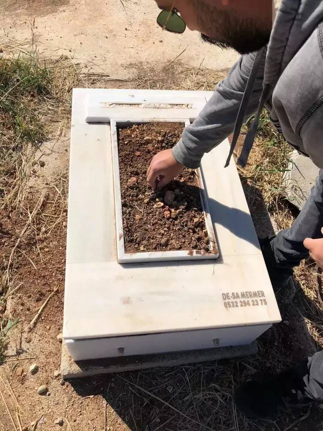 Mersin'de Köpeğin Ölümüne Neden Olan İki Çocuk Gözaltına Alındı