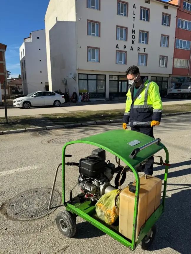 Harmancık'ta Haşere ve Kemirgen Mücadele Çalışmaları Başladı