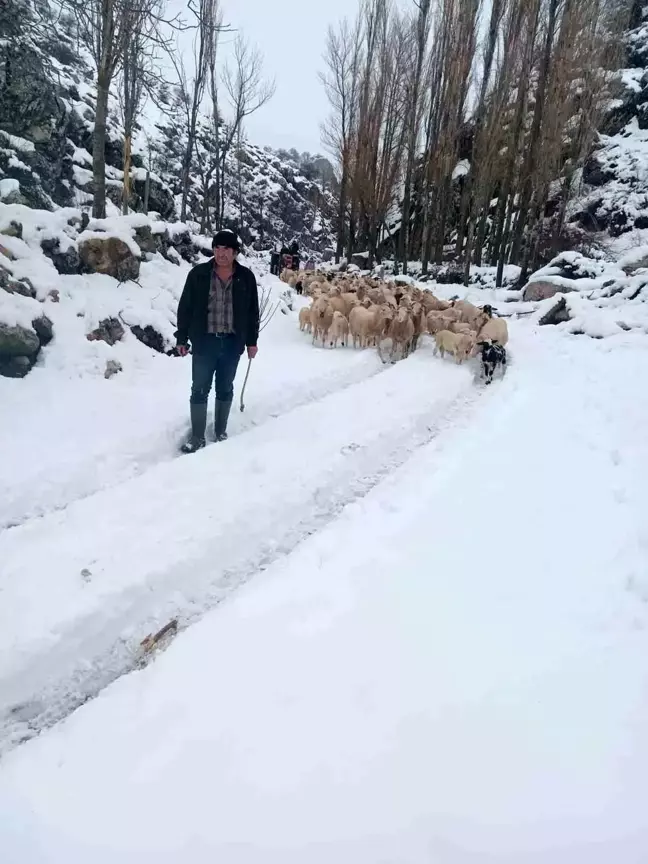 Burdur'da Mahsur Kalan Çoban ve Sürü Kurtarıldı