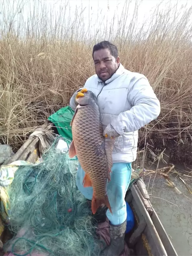 Enez'de 18 Kilogramlık Sazan Balığı Yakalandı