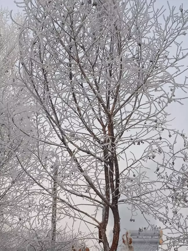 Doğu Anadolu'da Kar Yağışı ve Soğuk Hava Etkili