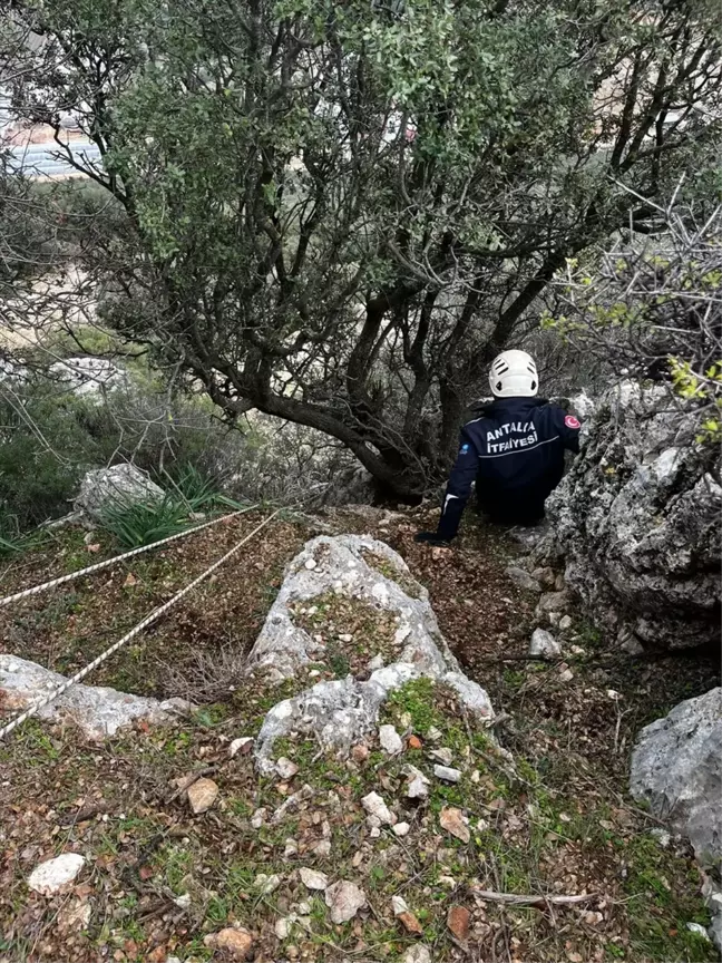 Demre'de Mahsur Kalan Keçiler İtfaiye Ekiplerince Kurtarıldı