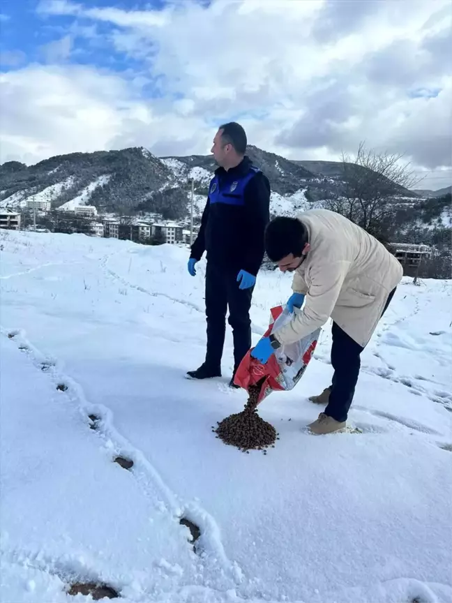 Göynük Belediyesi'nden Sahipsiz Hayvanlara Yemleme Desteği