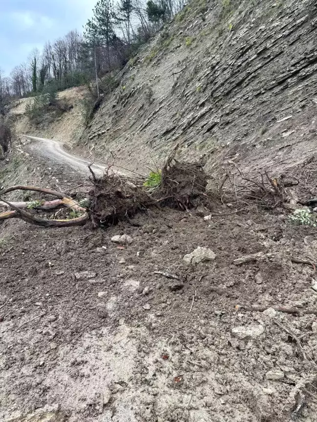 Sinop'ta Kuvvetli Yağışlar Toprak Kaymasına Neden Oldu