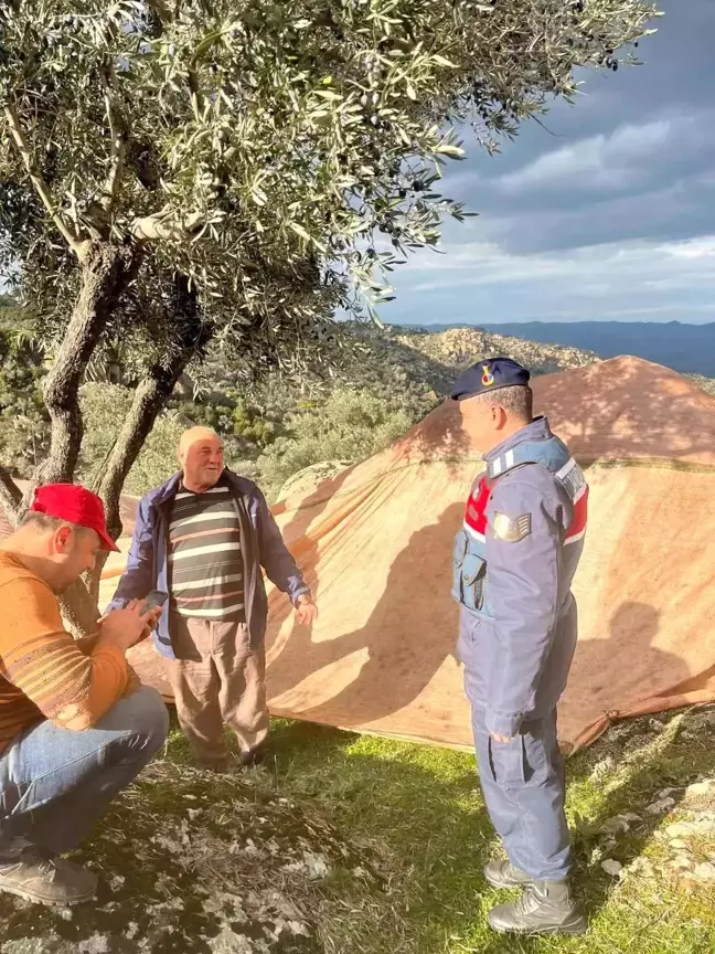 Jandarma, Zeytin Üreticilerini Hırsızlık Konusunda Uyardı