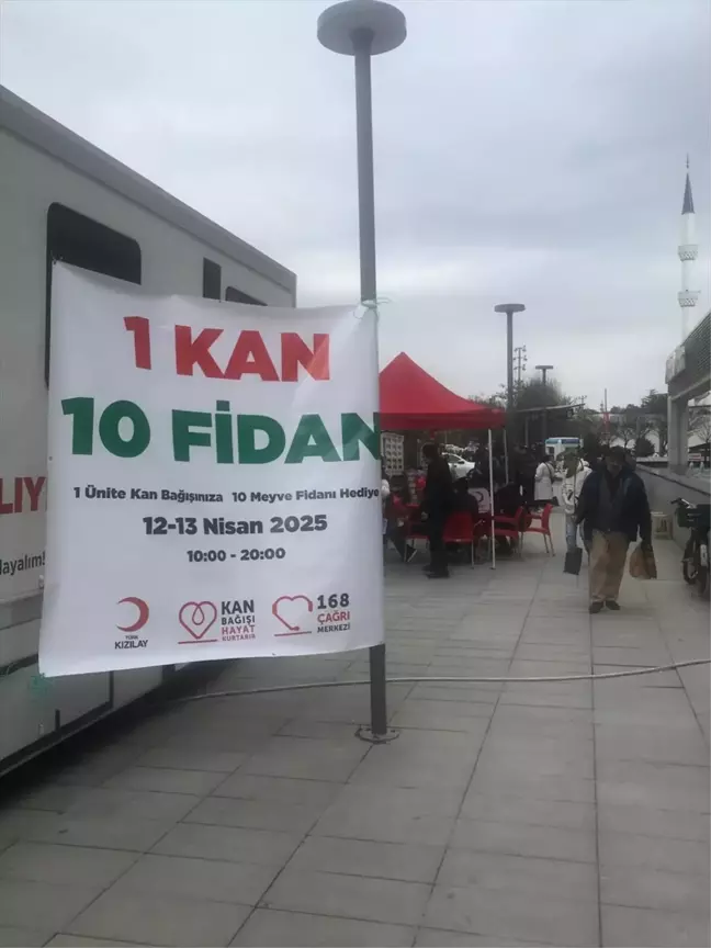 Türk Kızılay'dan '1 Kan 10 Fidan' Kampanyası: 3 Bin 500 Fidan Doğaya Armağan Edildi