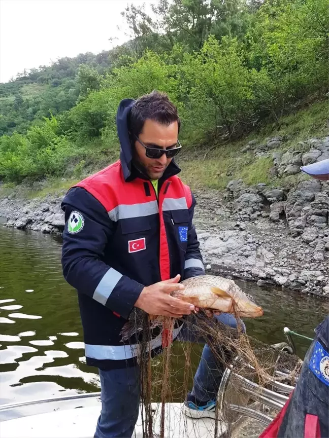 Samsun'da Kaçak Balık Avcılığına Karşı Denetimler Artırıldı