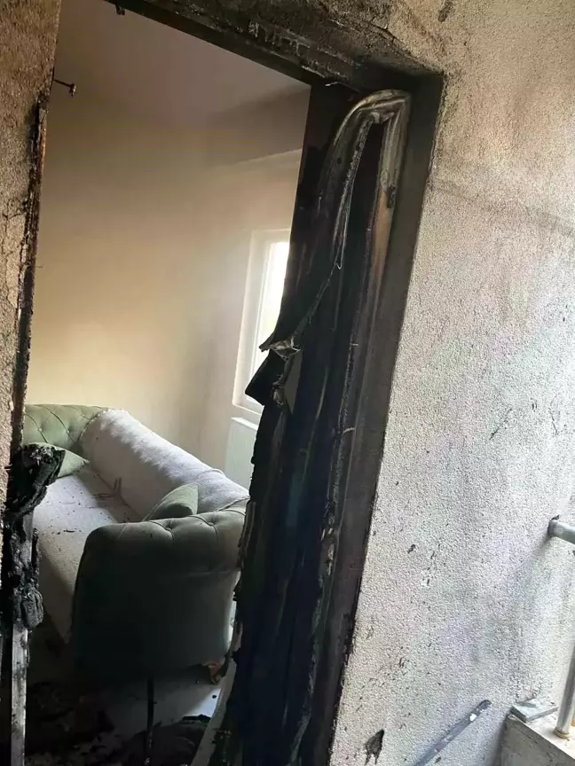 Mardin'de Piknik Tüpü Patladı, Yangın Çıktı