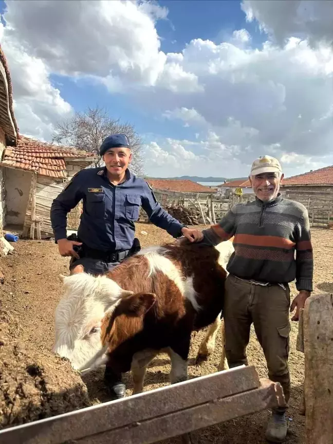 Kırşehir'de Kaybolan Büyükbaş Hayvan Bulundu