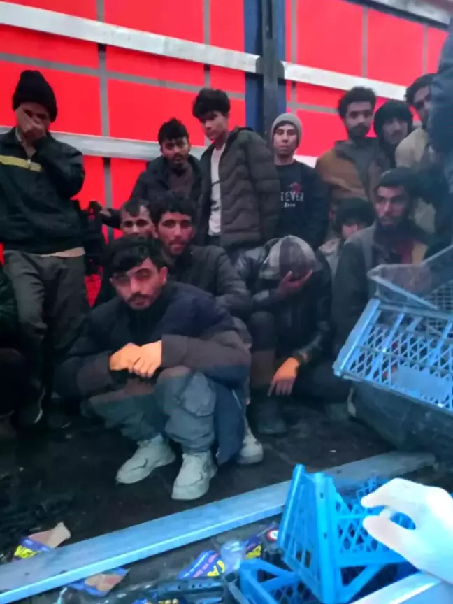 Sakarya'da Durdurulan Tırda 46 Düzensiz Göçmen Yakalandı