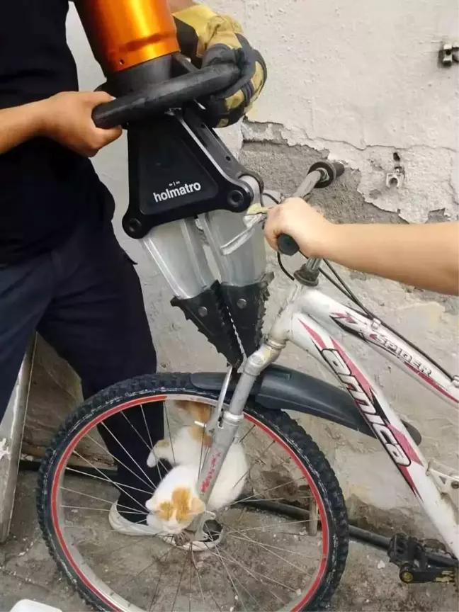 Hatay'da Yavru Kedi, Bisiklet Tekerleğinden Kurtarıldı