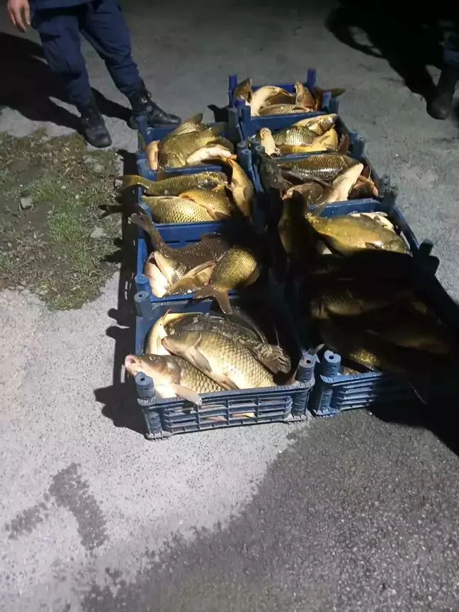 Elazığ'da Kaçak Avcılığa Geçit Yok: 210 Kilogram Balık Ele Geçirildi