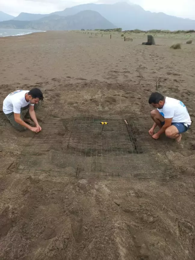 Dalyan Kumsalında Sezonun İlk Caretta Caretta Yuvası Tespit Edildi