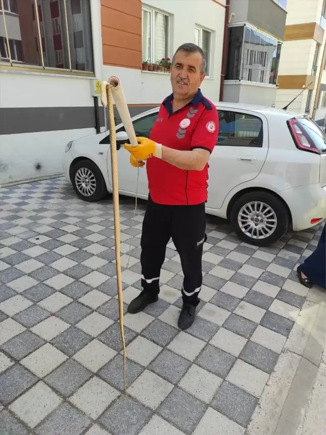Bilecik'te Yakalanan Yılanlar Doğaya Bırakıldı