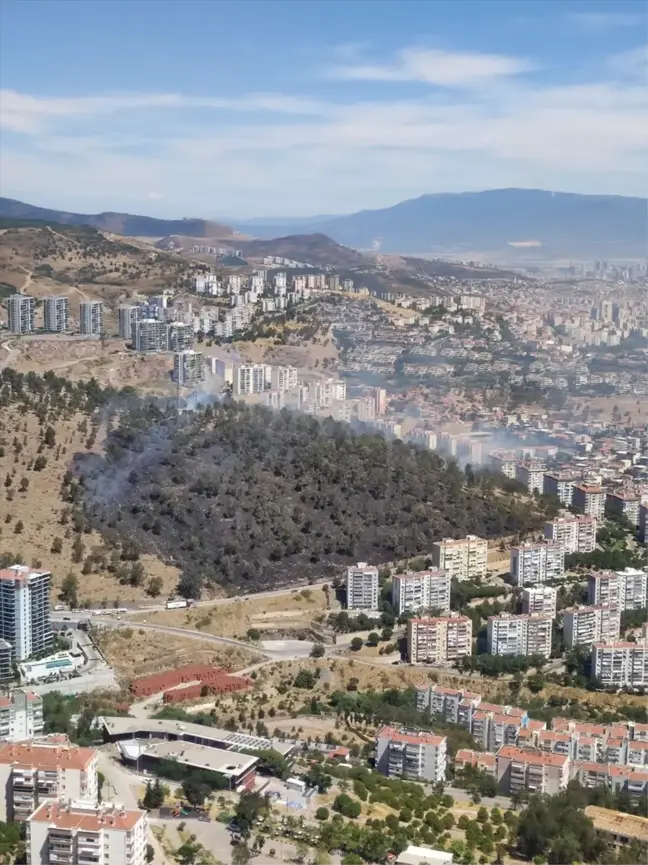 İzmir'deki yangınlar kontrol altına alındı