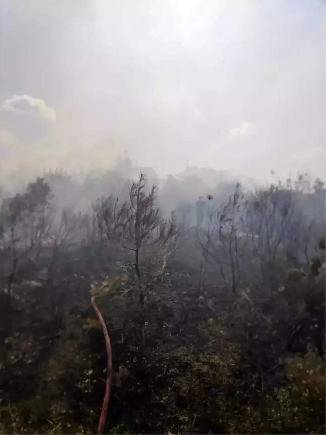 Hatay'ın Yayladağı ilçesinde orman yangını kontrol altına alındı