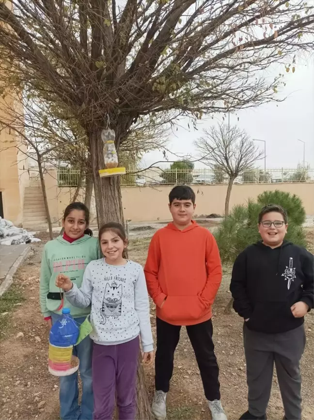 Batman'da öğrenciler atık malzemelerle kuş evleri yapıp ağaçlara astı
