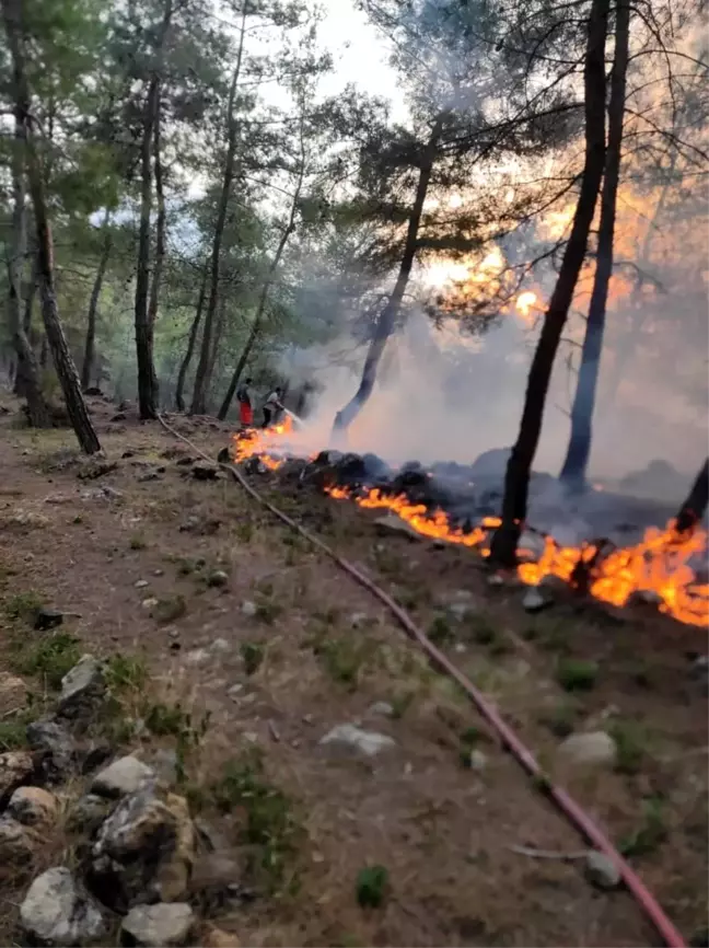 Hatay Yayladağı'nda Orman Yangını Kontrol Altına Alındı