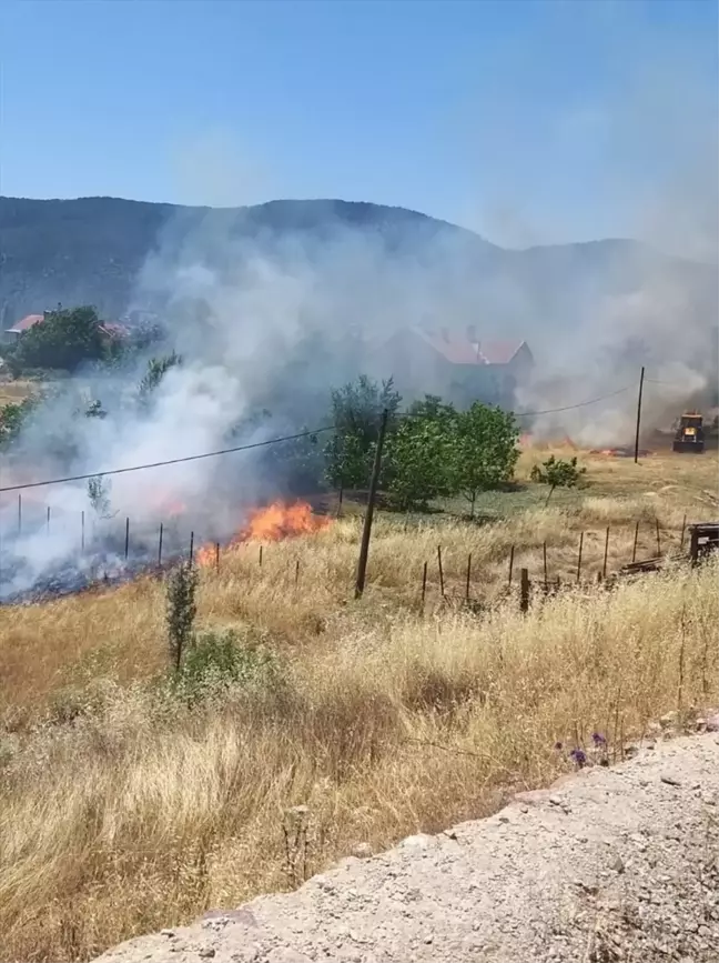 Akseki'de Meyve Ağaçları ve Alan Yangında Zarar Gördü