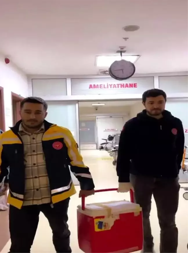 Bingöl'de Trafik Kazasında Beyin Ölümü Gerçekleşen Gençten 4 Kişiye Organ Nakli