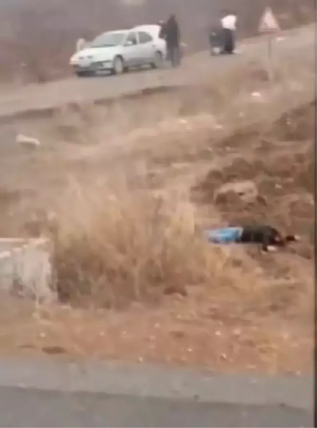 Diyarbakır'da iki aile arasında kavga: 1 ölü, 3'ü ağır 10 yaralı