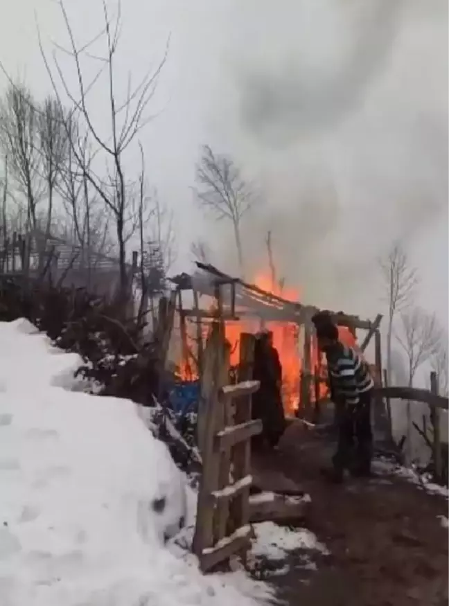 Son dakika haber... Evde çıkan yangında ölen 2 kardeş aynı tabuta konularak toprağa verildi