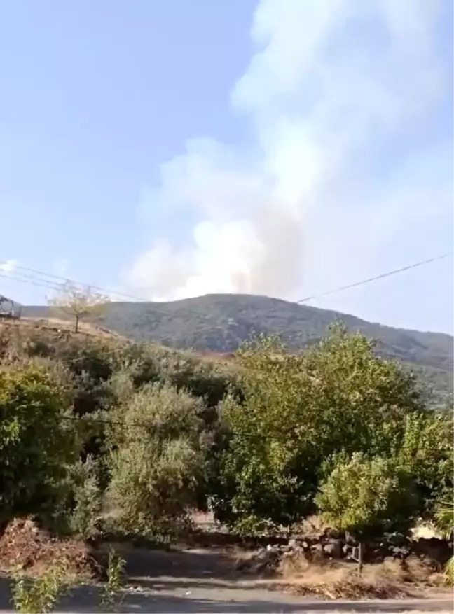 Gaziantep İslahiye'de Orman Yangını Kontrol Altına Alındı