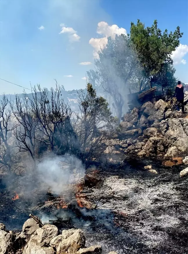 Mersin'de çalılık alanda başlayan yangın müstakil eve sıçradı