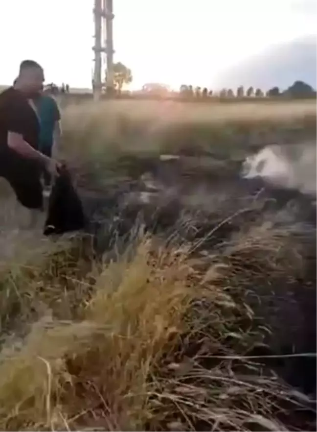 Şanlıurfa'da Vatandaşlar Tarlayı Yangından Kurtardı