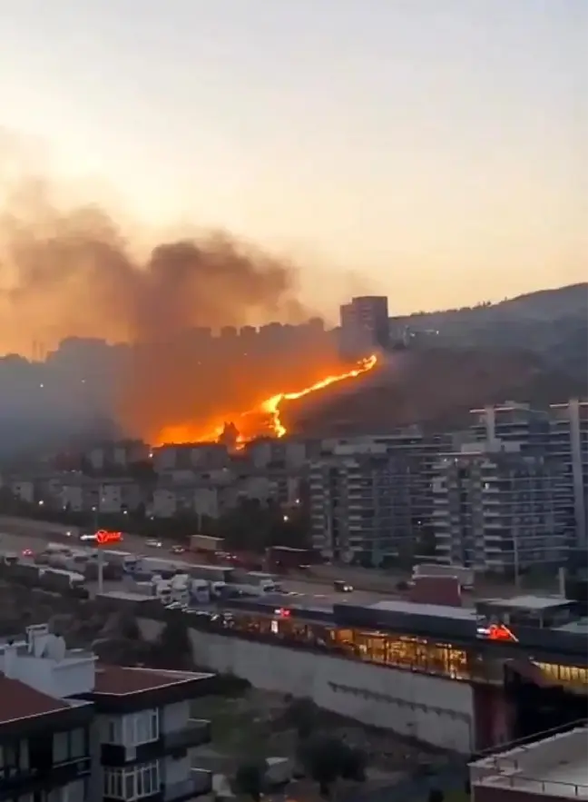 İzmir'de otluk alanlarda çıkan yangınlar söndürüldü