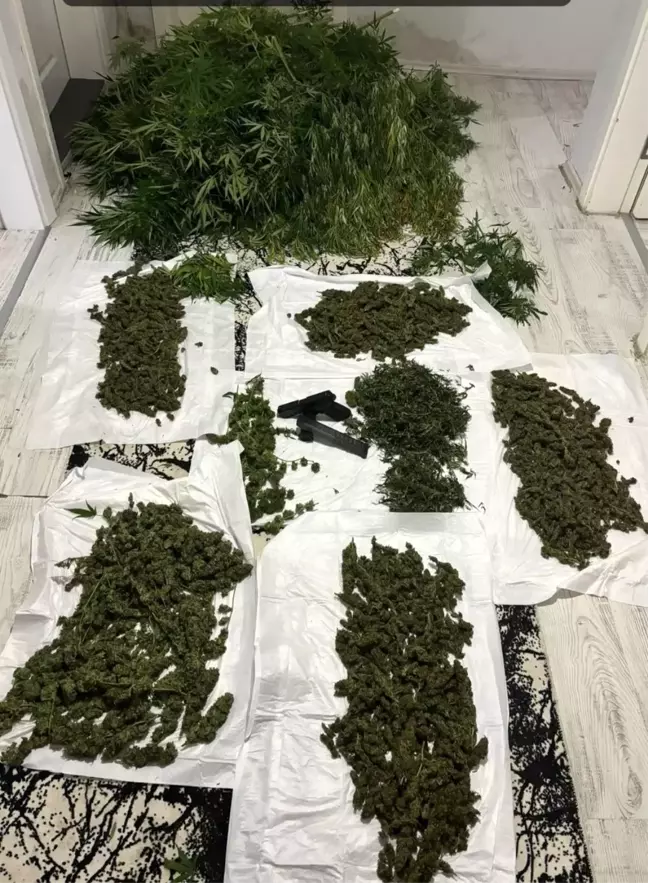 Sarıyer'de Uyuşturucu Operasyonu: 2,5 Ton Marihuana ve Kenevir Ele Geçirildi