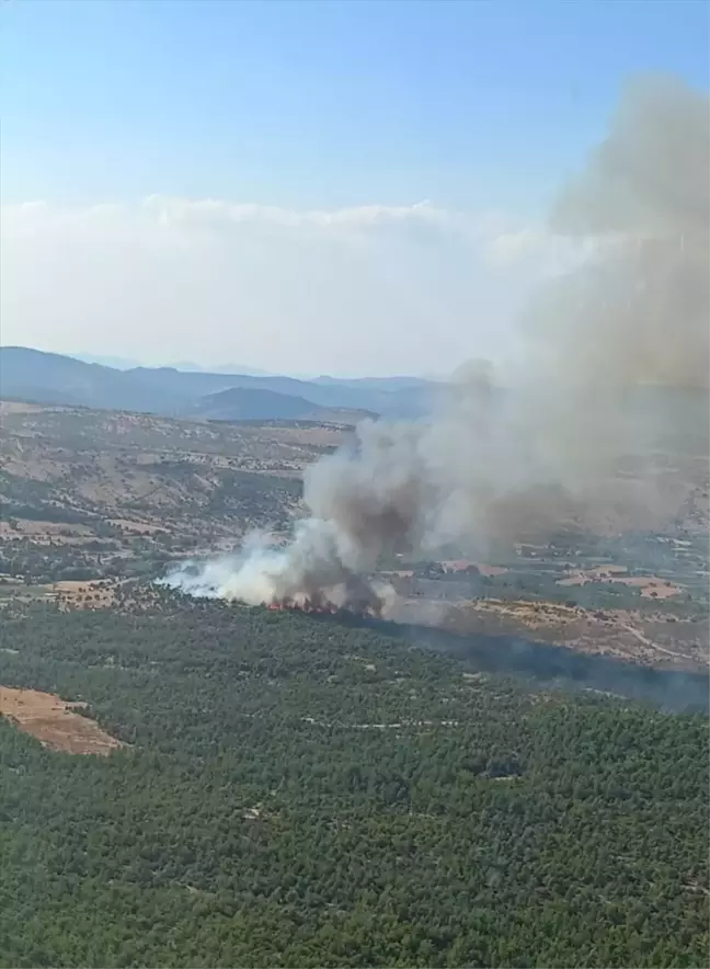 Manisa'da çıkan 2 orman yangını kontrol altına alındı