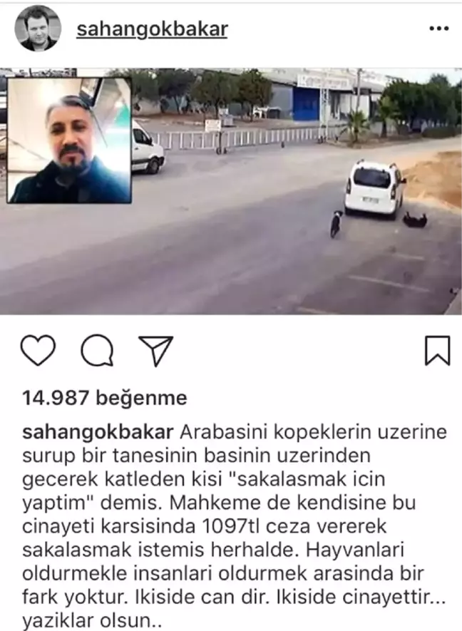 Şahan Gökbakar: Hayvanları Öldürmek Cinayettir