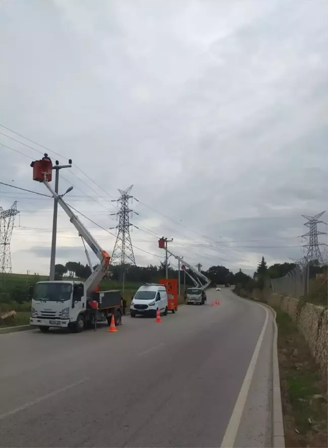 SEDAŞ, Leyleklerin Göç Rotasında İzolasyon Önlemleri Alıyor