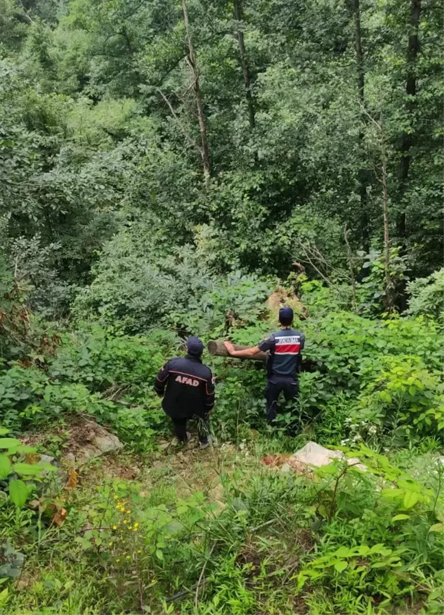 Artvin haber! Artvin'de çay toplarken kaybolan kişi bulundu