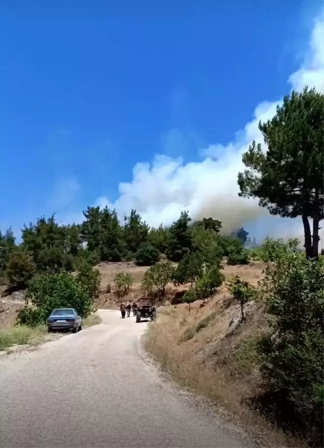 Bursa'da makilik alanda çıkan yangın kontrol altına alındı